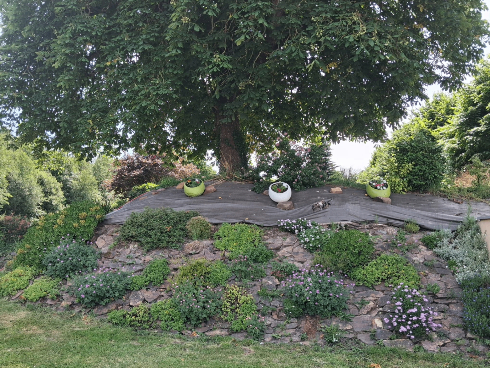 Jardin arboré autour de la maison